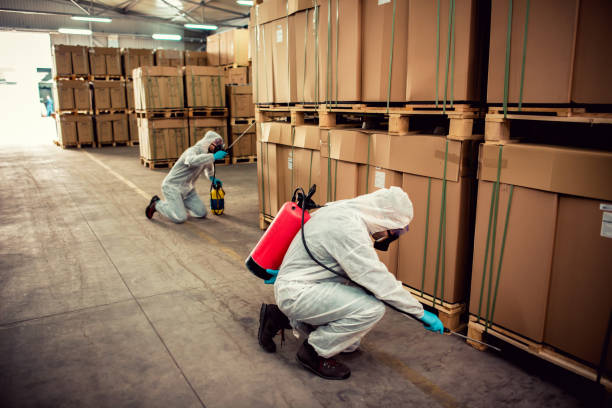 Best Local Pest Control Services  in Wakefield, NE