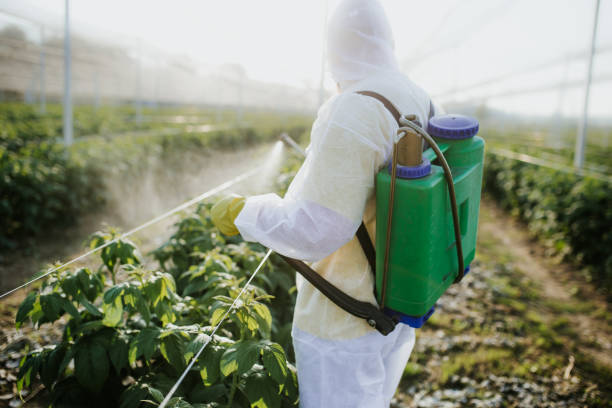 Best Best Pest Control Companies  in Wakefield, NE